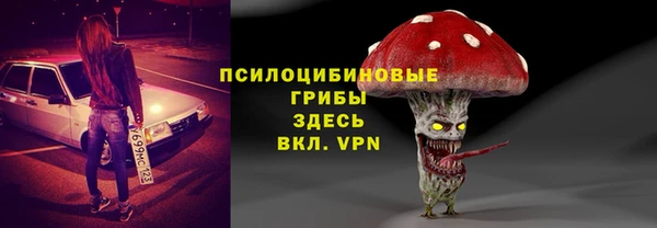 mdpv Няндома