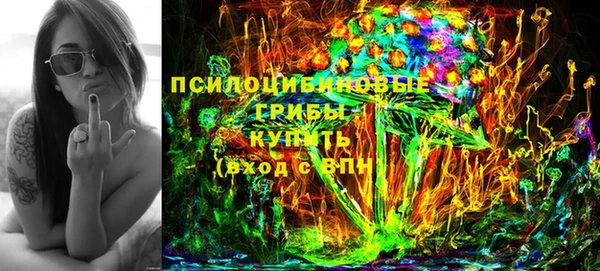 стафф Гусиноозёрск